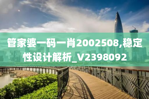 管家婆一码一肖2002508,稳定性设计解析_V2398092