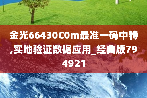 金光66430C0m最准一码中特,实地验证数据应用_经典版794921