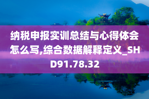 纳税申报实训总结与心得体会怎么写,综合数据解释定义_SHD91.78.32