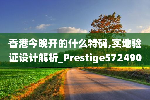 香港今晚开的什么特码,实地验证设计解析_Prestige572490