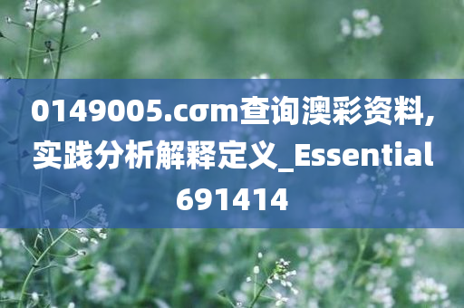 0149005.cσm查询澳彩资料,实践分析解释定义_Essential691414