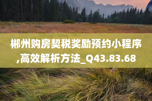 郴州购房契税奖励预约小程序,高效解析方法_Q43.83.68