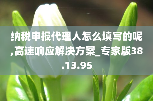 纳税申报代理人怎么填写的呢,高速响应解决方案_专家版38.13.95