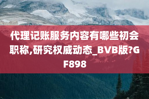 代理记账服务内容有哪些初会职称,研究权威动态_BVB版?GF898