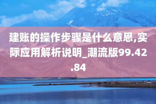 建账的操作步骤是什么意思,实际应用解析说明_潮流版99.42.84