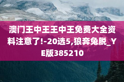 澳门王中王王中王免费大全资料注意了!-20选5,狼奔兔脱_YE版385210