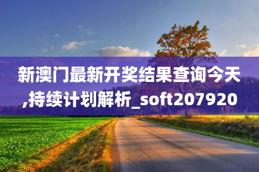 新澳门最新开奖结果查询今天,持续计划解析_soft207920