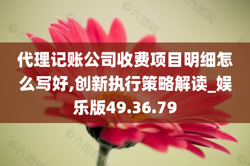 代理记账公司收费项目明细怎么写好,创新执行策略解读_娱乐版49.36.79