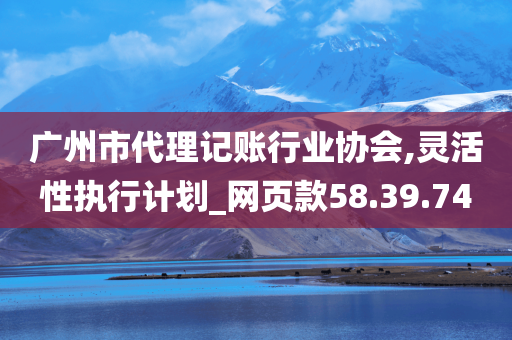 广州市代理记账行业协会,灵活性执行计划_网页款58.39.74