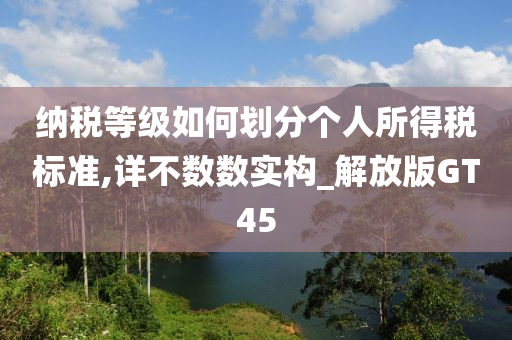 纳税等级如何划分个人所得税标准,详不数数实构_解放版GT45