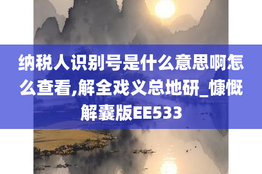 纳税人识别号是什么意思啊怎么查看,解全戏义总地研_慷慨解囊版EE533