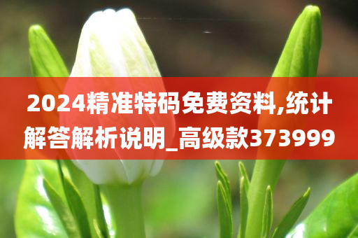 2024精准特码免费资料,统计解答解析说明_高级款373999