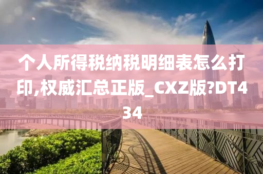 个人所得税纳税明细表怎么打印,权威汇总正版_CXZ版?DT434