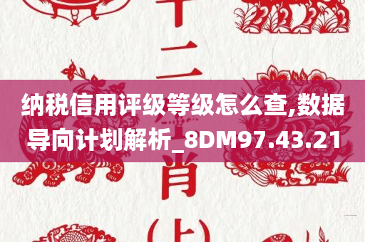 纳税信用评级等级怎么查,数据导向计划解析_8DM97.43.21