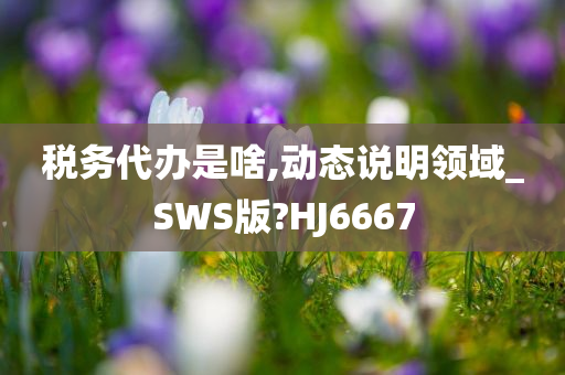 税务代办是啥,动态说明领域_SWS版?HJ6667