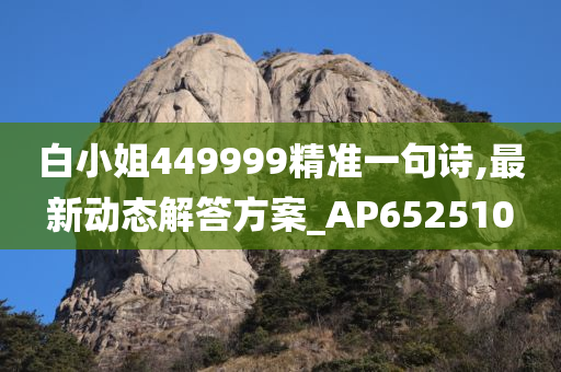 白小姐449999精准一句诗,最新动态解答方案_AP652510