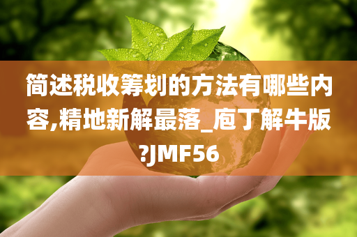 简述税收筹划的方法有哪些内容,精地新解最落_庖丁解牛版?JMF56