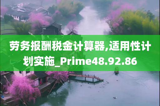 劳务报酬税金计算器,适用性计划实施_Prime48.92.86