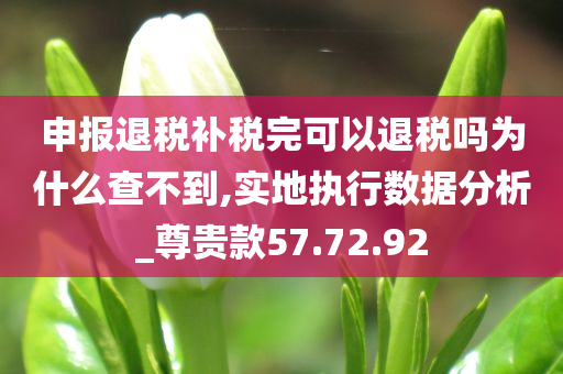 申报退税补税完可以退税吗为什么查不到,实地执行数据分析_尊贵款57.72.92