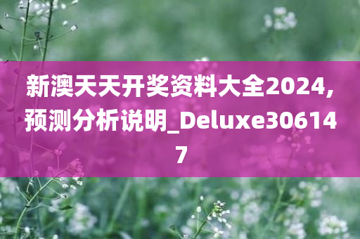 新澳天天开奖资料大全2024,预测分析说明_Deluxe306147