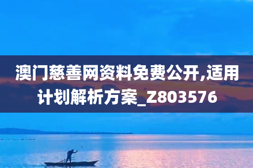 澳门慈善网资料免费公开,适用计划解析方案_Z803576