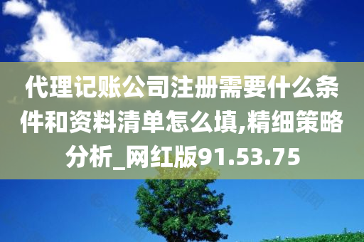 代理记账公司注册需要什么条件和资料清单怎么填,精细策略分析_网红版91.53.75