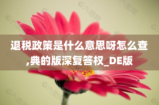 退税政策是什么意思呀怎么查,典的版深复答权_DE版