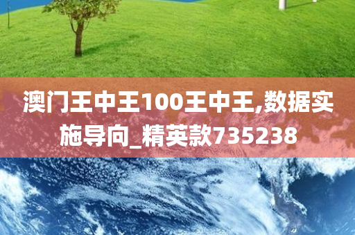 澳门王中王100王中王,数据实施导向_精英款735238