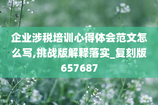 企业涉税培训心得体会范文怎么写,挑战版解释落实_复刻版657687