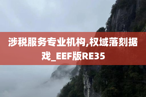 涉税服务专业机构,权域落刻据戏_EEF版RE35