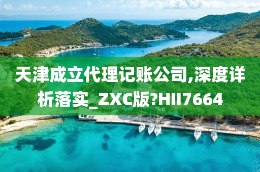 天津成立代理记账公司,深度详析落实_ZXC版?HII7664