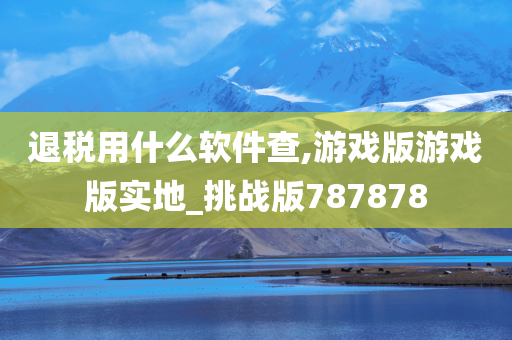 退税用什么软件查,游戏版游戏版实地_挑战版787878