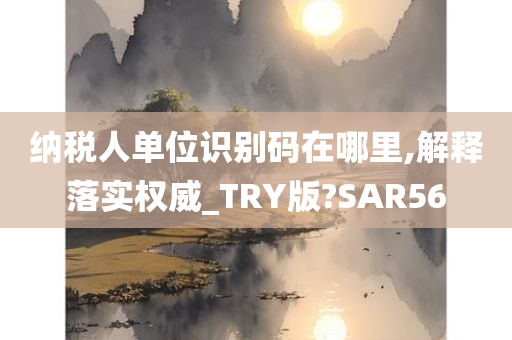 纳税人单位识别码在哪里,解释落实权威_TRY版?SAR56