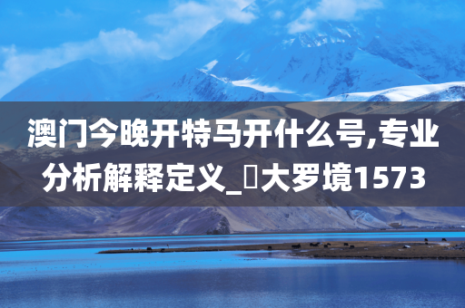 澳门今晚开特马开什么号,专业分析解释定义_‌大罗境1573