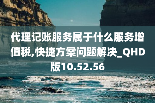 代理记账服务属于什么服务增值税,快捷方案问题解决_QHD版10.52.56