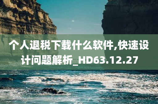 个人退税下载什么软件,快速设计问题解析_HD63.12.27