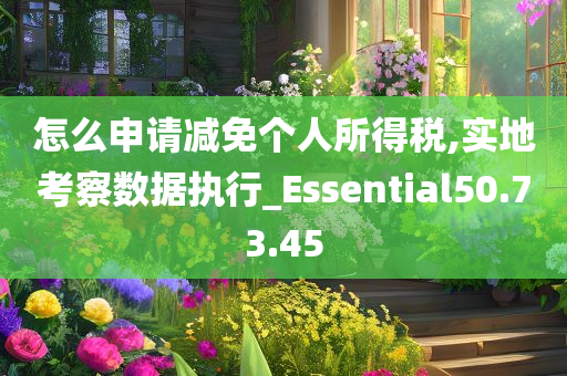 怎么申请减免个人所得税,实地考察数据执行_Essential50.73.45