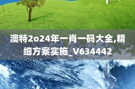 澳特2o24年一肖一码大全,精细方案实施_V634442