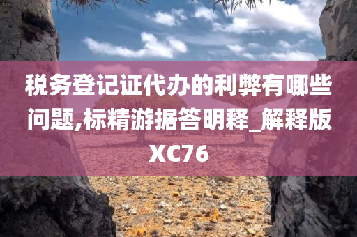 税务登记证代办的利弊有哪些问题,标精游据答明释_解释版XC76