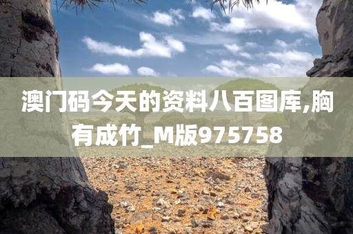 澳门码今天的资料八百图库,胸有成竹_M版975758