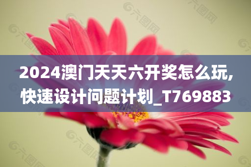 2024澳门天天六开奖怎么玩,快速设计问题计划_T769883