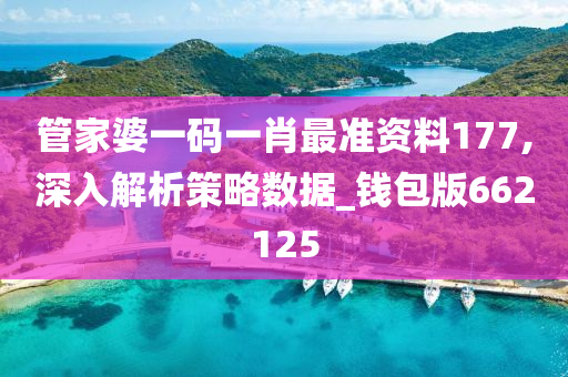 管家婆一码一肖最准资料177,深入解析策略数据_钱包版662125