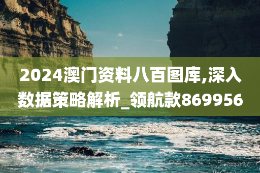 2024澳门资料八百图库,深入数据策略解析_领航款869956