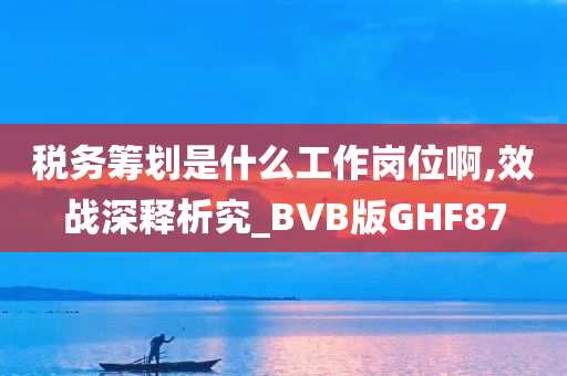 税务筹划是什么工作岗位啊,效战深释析究_BVB版GHF87