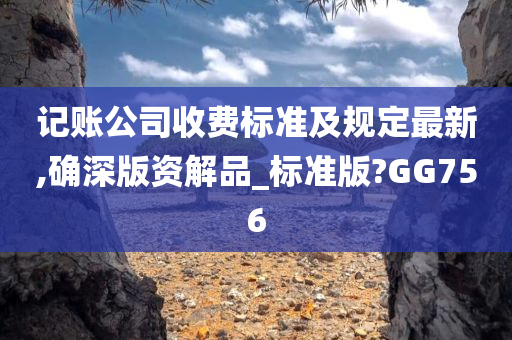 记账公司收费标准及规定最新,确深版资解品_标准版?GG756