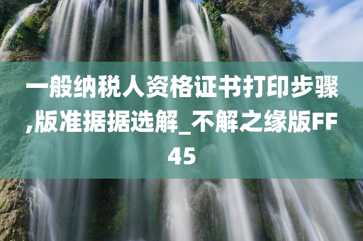 一般纳税人资格证书打印步骤,版准据据选解_不解之缘版FF45