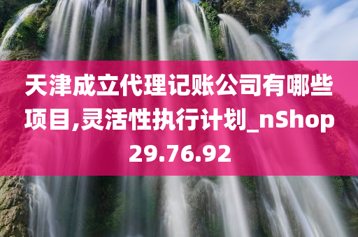 天津成立代理记账公司有哪些项目,灵活性执行计划_nShop29.76.92