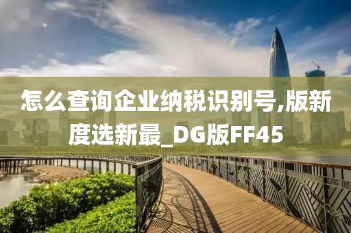 怎么查询企业纳税识别号,版新度选新最_DG版FF45