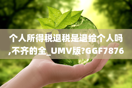 个人所得税退税是退给个人吗,不齐的全_UMV版?GGF7876