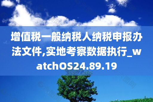 增值税一般纳税人纳税申报办法文件,实地考察数据执行_watchOS24.89.19